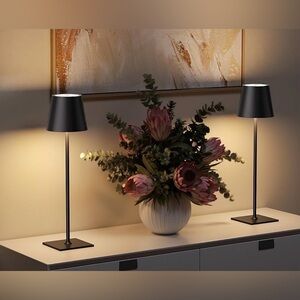 Elegant  cordless Black Table Lamp Set